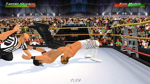 An exciting wrestling match in a vibrant 3D arena, capturing the energy and passion of WR3D Free.