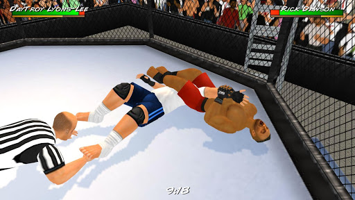 An exciting wrestling match in a vibrant 3D arena, capturing the energy and passion of WR3D Free.