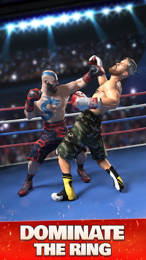 A thrilling and immersive boxing match experience, capturing the excitement and intensity of the sport.