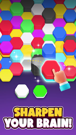 A vibrant and captivating puzzle game experience that challenges the mind and delights the senses.