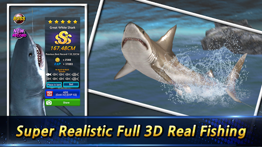 A serene and immersive fishing adventure awaits, capturing the thrill of the catch and the beauty of nature.