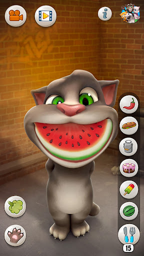 A playful and interactive virtual pet cat named Tom, engaging with users through touch and voice in a fun and lively manner.