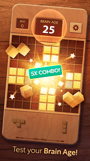 An engaging and challenging puzzle game experience with wooden blocks and sudoku elements, offering mental stimulation and entertainment.