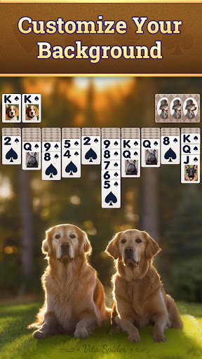 An exciting and engaging card game experience awaits with Spider Solitaire on mobile, offering endless fun and strategic challenges.