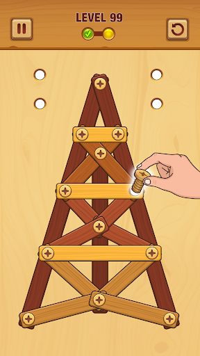 A captivating and challenging brain teaser, the Wood Puzzle Game draws players into its world of nuts and bolts, offering both simplicity and strategic complexity.