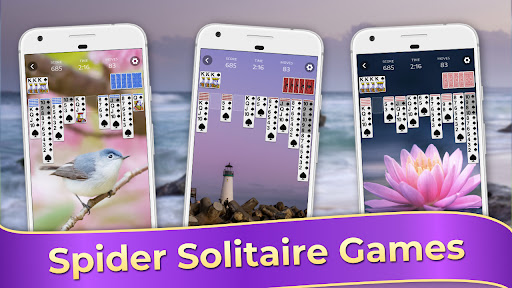 A cozy evening spent playing Spider Solitaire on a smartphone, embodying relaxation and strategic thinking.